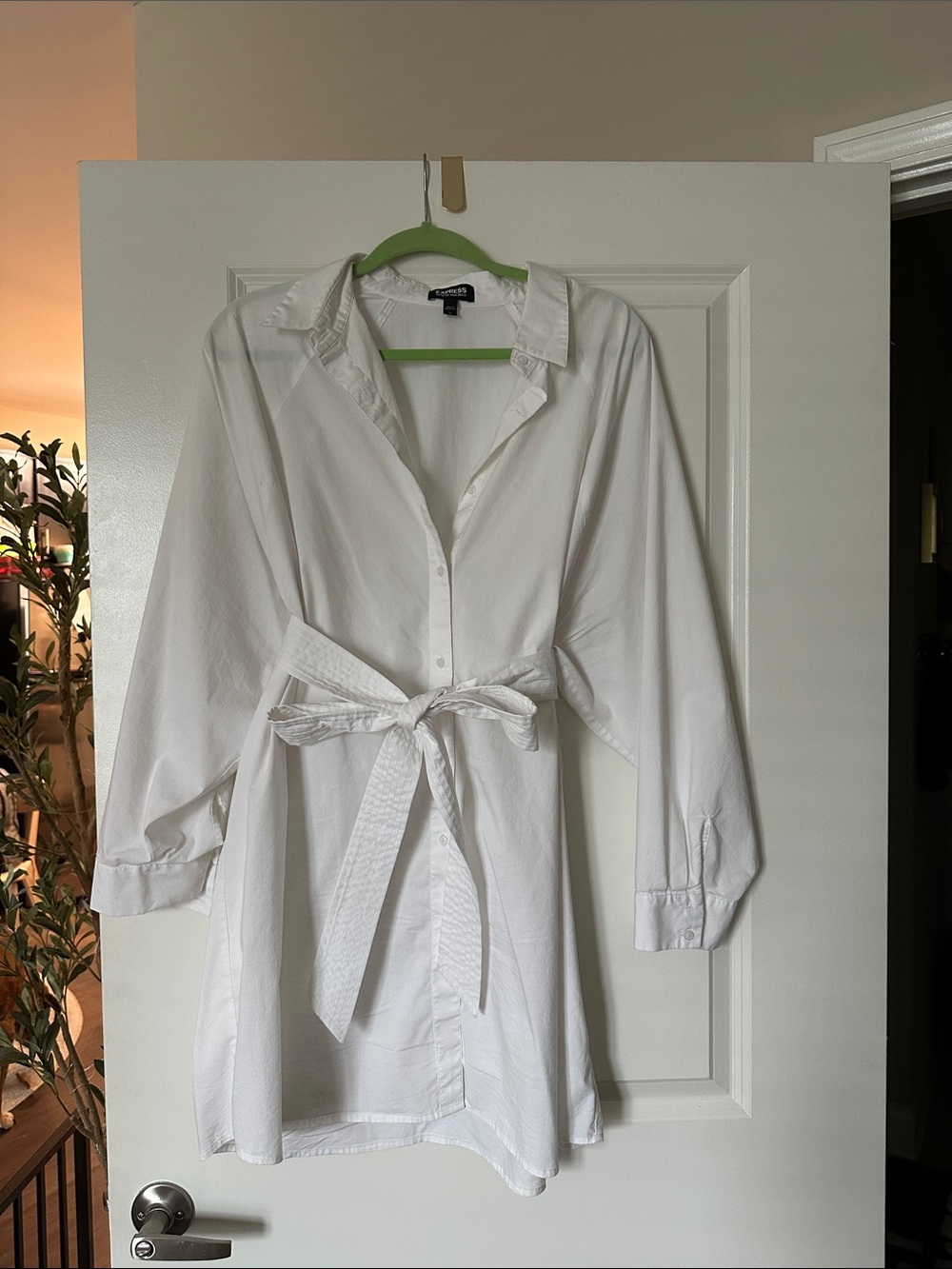 Express Portofino Shirt Dress